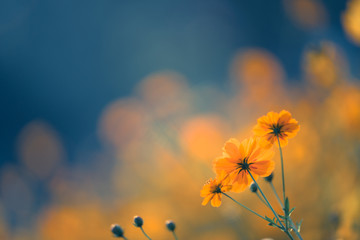 广西高中排名100强