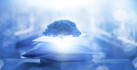 房地产大佬排名