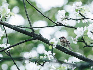 广西高中排名100强