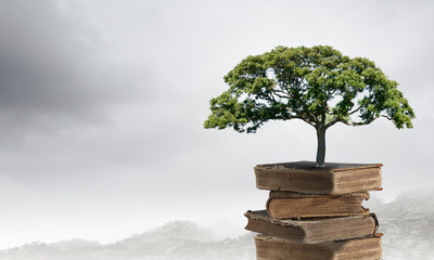 A3纸跟8开纸有什么区别-