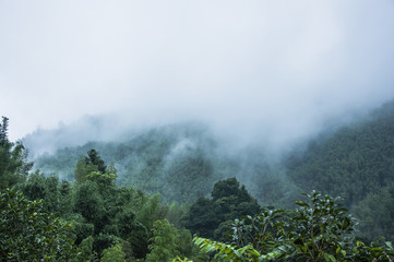 房地产大佬排名